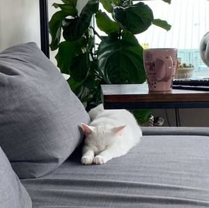 Meet your Posher, Brittany